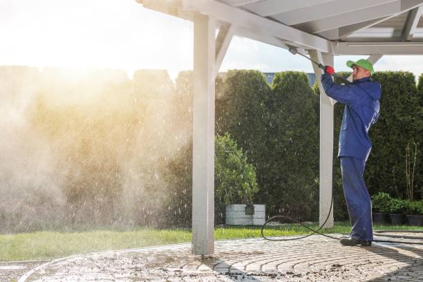 Best Soft Washing for Delicate Surfaces in Catawissa, PA